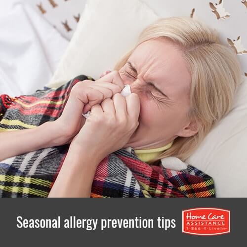 How to Prevent Seasonal Allergies in Oshkosh, WI